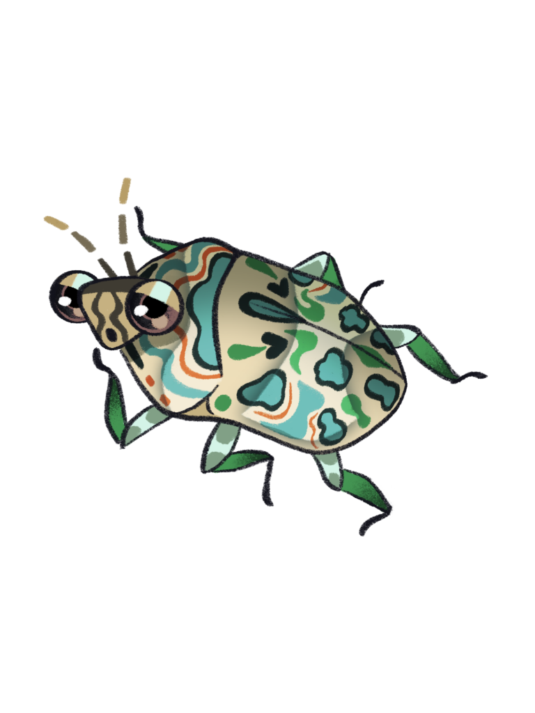 Picasso bug