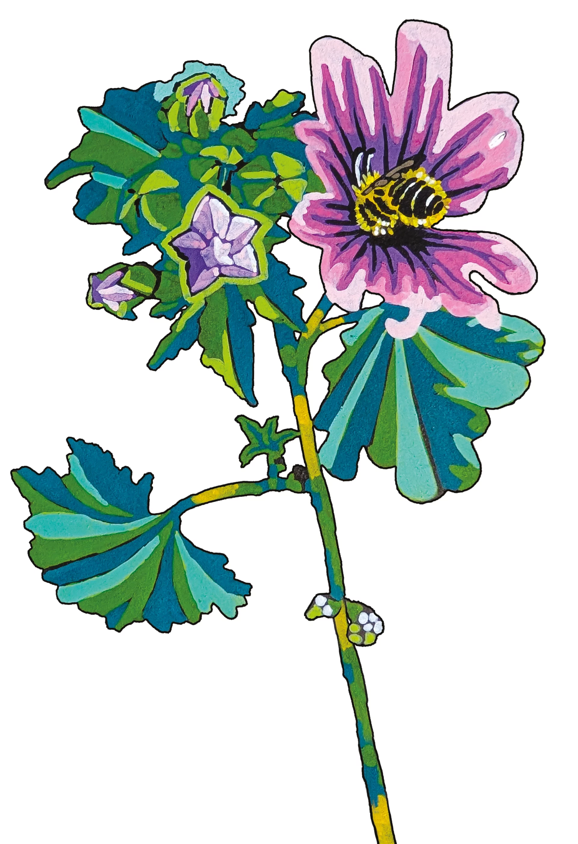 La mauve des bois